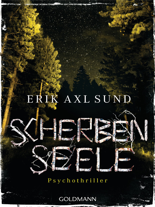 Title details for Scherbenseele by Erik Axl Sund - Wait list